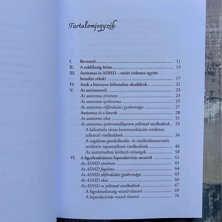 Láthatatlan akadályok [Útmutató autista és ADHD-s gyerekek megértéséhez és támogatásához]