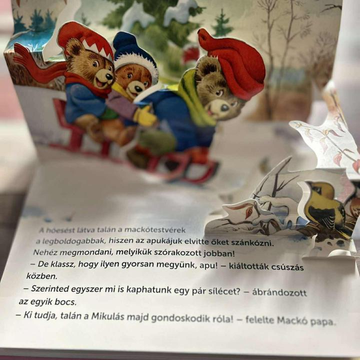 Mesél az erdő - Karácsony - 3D könyv
