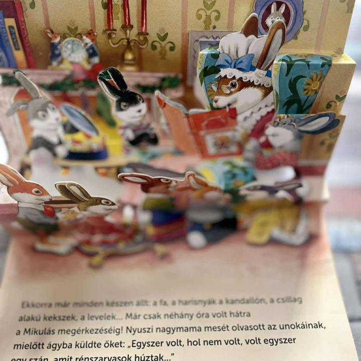 Mesél az erdő - Karácsony - 3D könyv