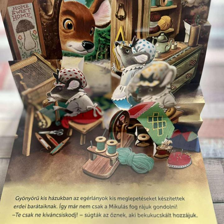 Mesél az erdő - Karácsony - 3D könyv
